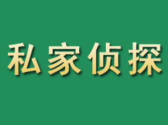 商南市私家正规侦探